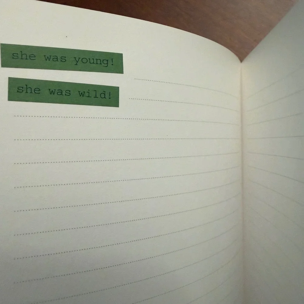 She Had Not Yet Decided Journal, Anne Taintor, notebook‎ blank retro 5x7